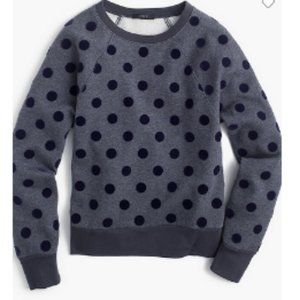 J Crew Textured Polka Dot Raglan Sweatshirt